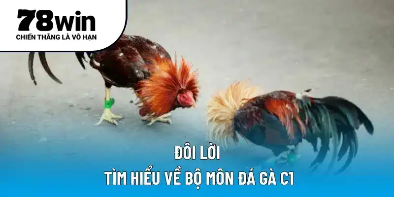Đôi lời tìm hiểu về bộ môn đá gà C1