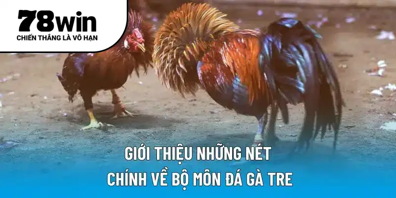 Giới thiệu những nét chính về bộ môn đá gà tre
