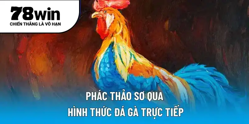 Phác thảo sơ qua hình thức đá gà trực tiếp