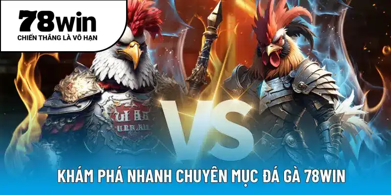 Khám phá nhanh chuyên mục đá gà 78WIN